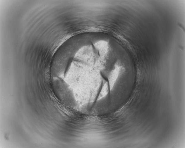 X0000102021170200808151309