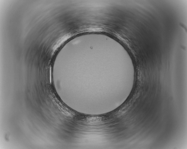 X0000102021171200808151309