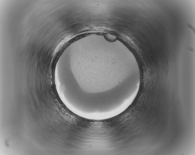X0000102021172200808151308