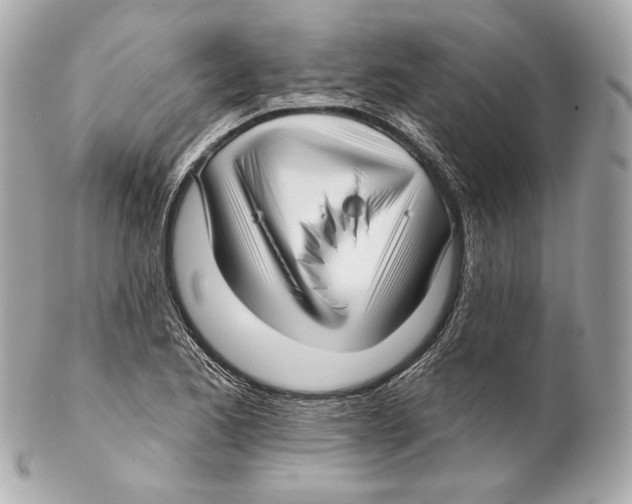 X0000102021173200808151308