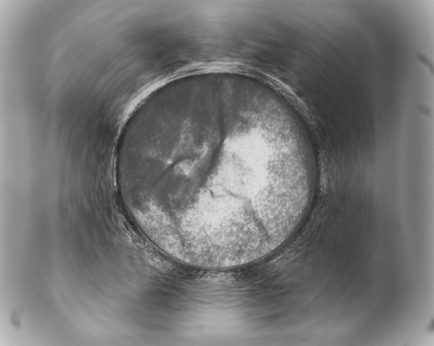 X0000102021174200808151308