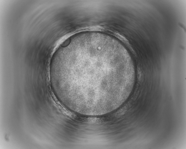 X0000102021176200808151308