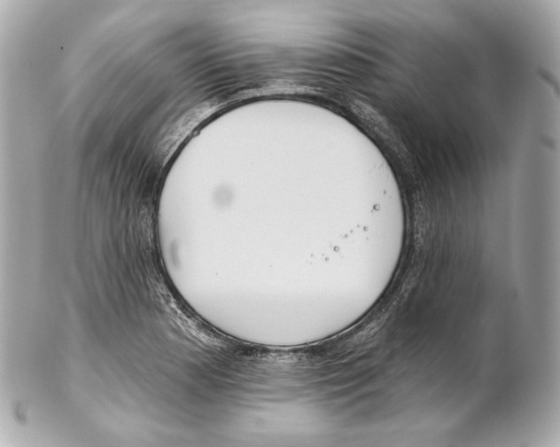 X0000102021177200808151308