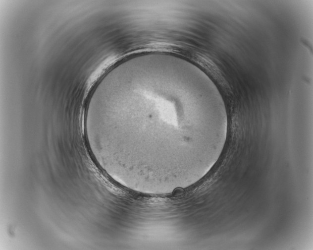 X0000102021180200808151308