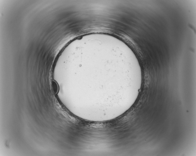 X0000102021182200808151308