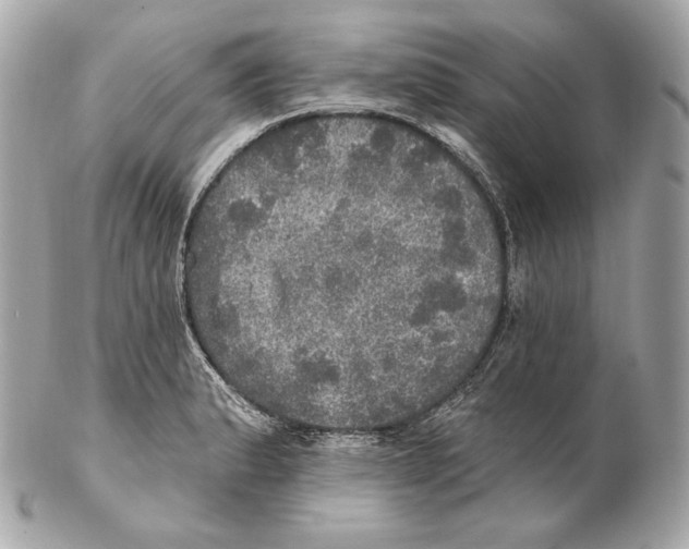 X0000102021183200808151308