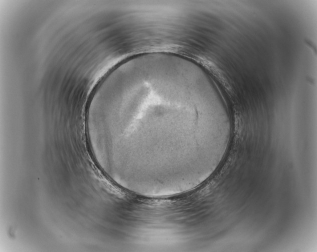 X0000102021184200808151308