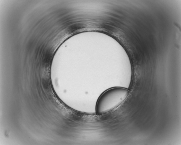 X0000102021185200808151308