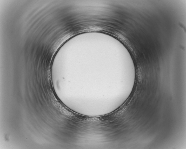X0000102021186200808151308
