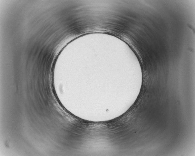 X0000102021187200808151308