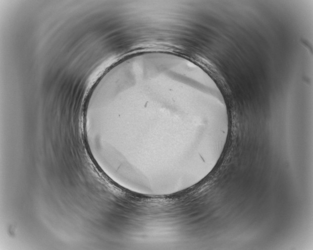 X0000102021188200808151308