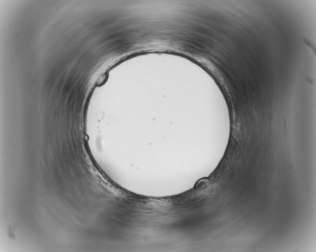 X0000102021191200808151308