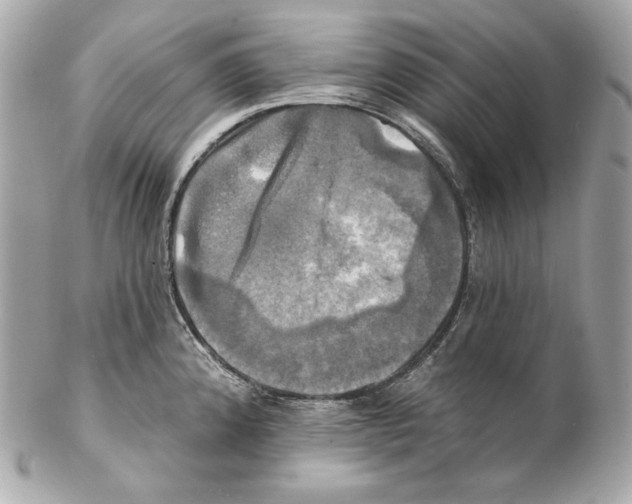 X0000102021192200808151308