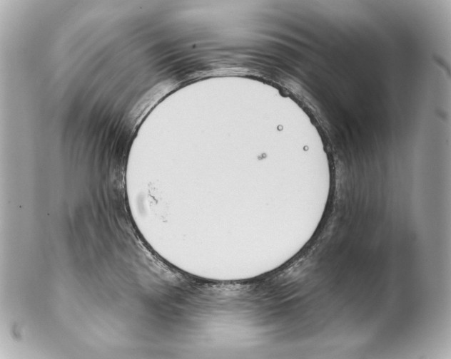X0000102021193200808151308