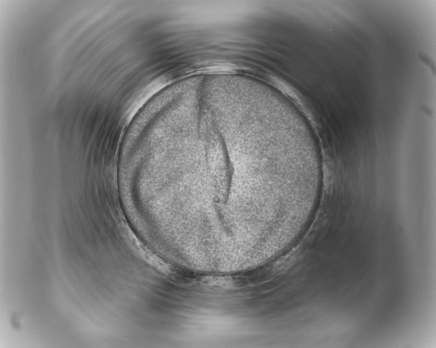 X0000102021194200808151308