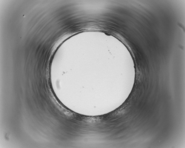 X0000102021195200808151308