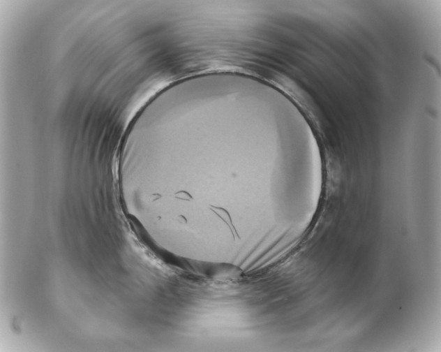 X0000102021198200808151308
