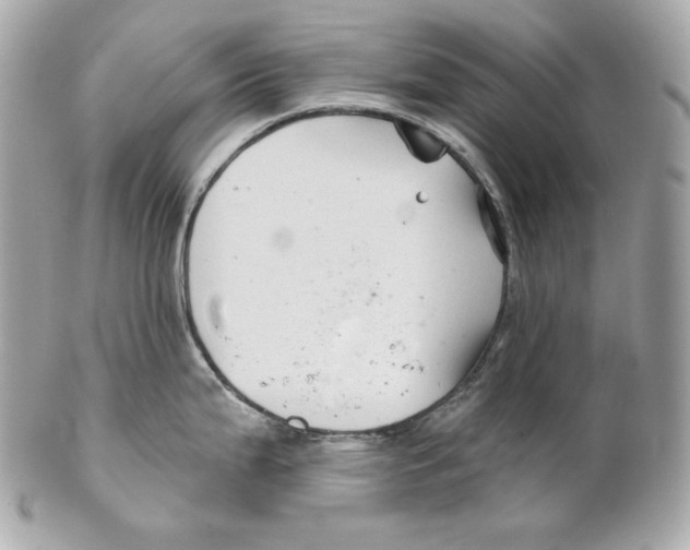 X0000102021199200808151308