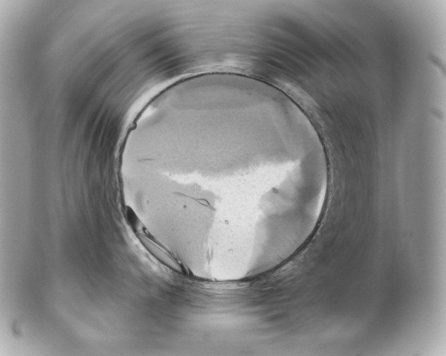X0000102021200200808151308