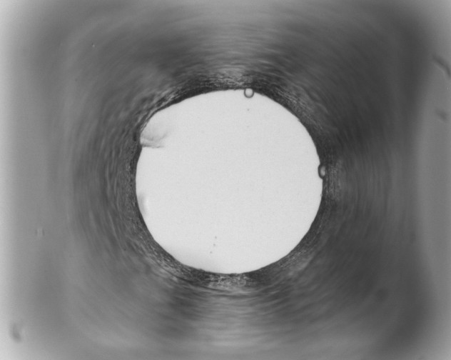 X0000102021201200808151307