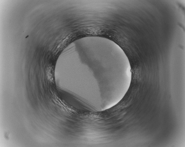 X0000102021202200808151307