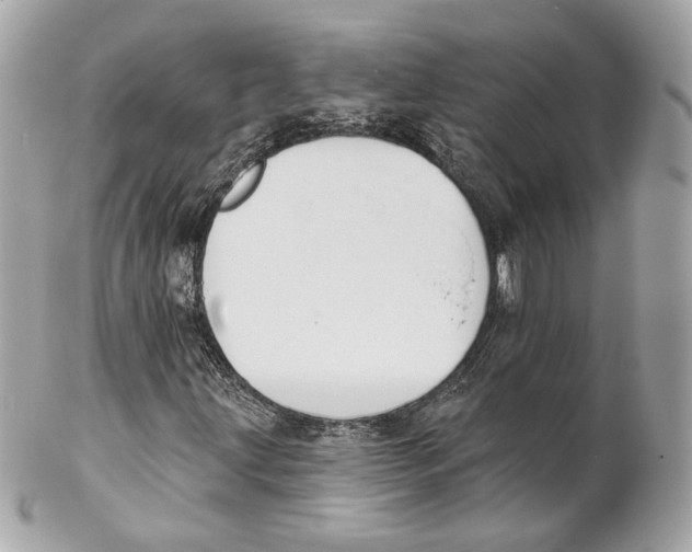 X0000102021203200808151307