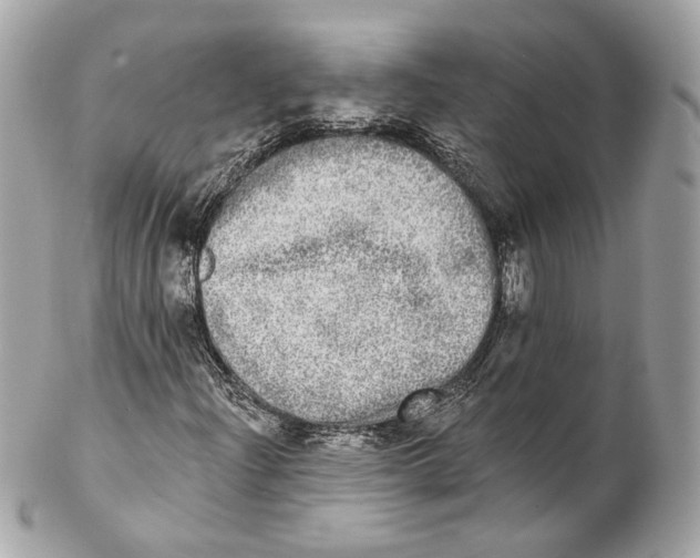 X0000102021204200808151307
