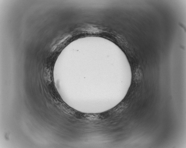 X0000102021205200808151307