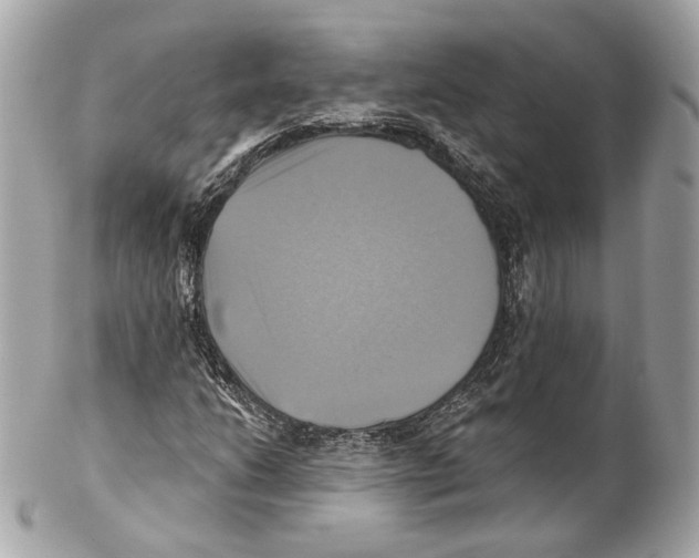 X0000102021206200808151307