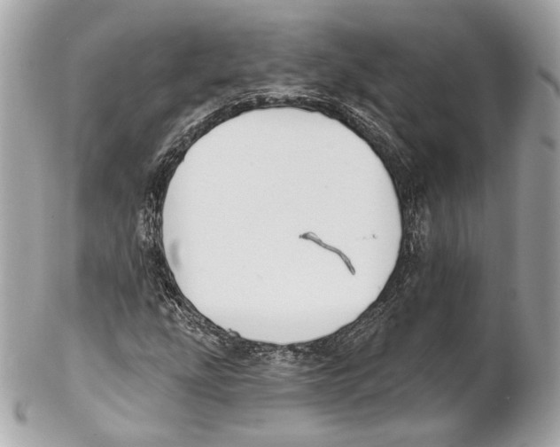 X0000102021207200808151307