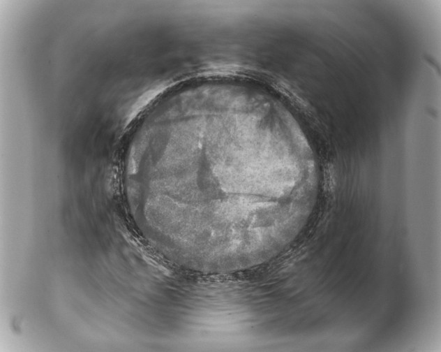 X0000102021208200808151307