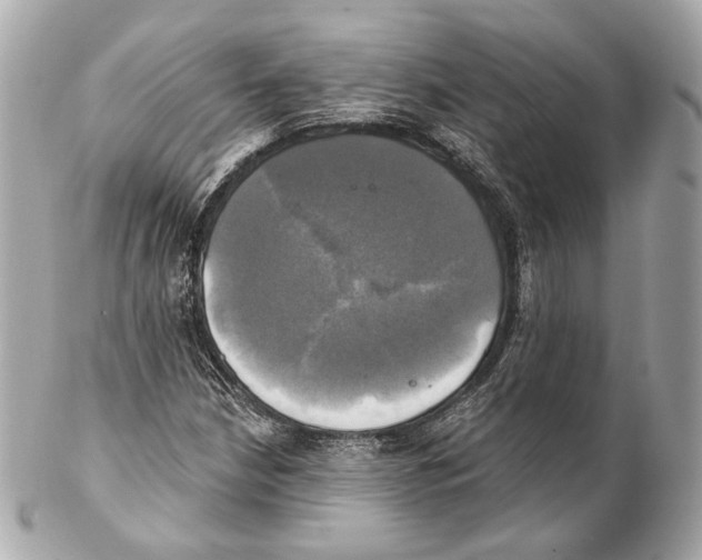 X0000102021210200808151307