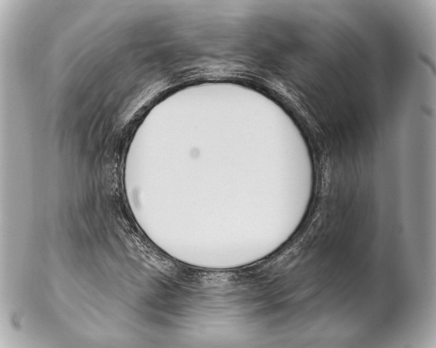 X0000102021211200808151307