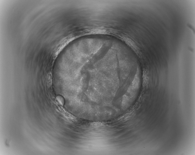 X0000102021212200808151307
