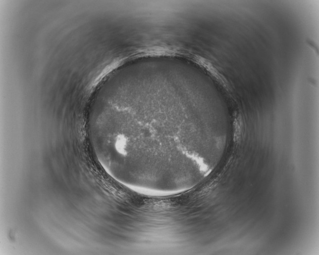 X0000102021213200808151307