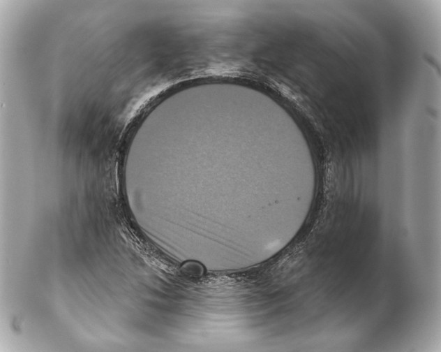 X0000102021214200808151307