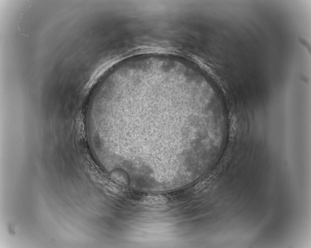 X0000102021215200808151307