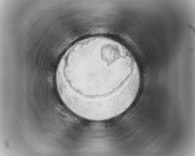 X0000102021217200808151307