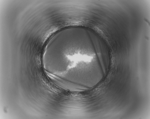 X0000102021218200808151307