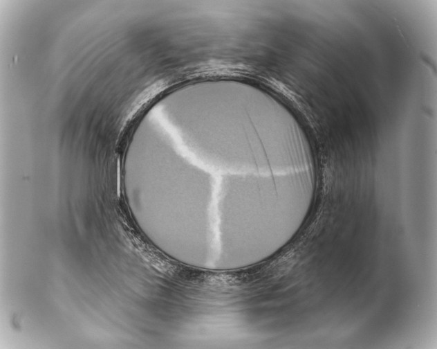 X0000102021219200808151308