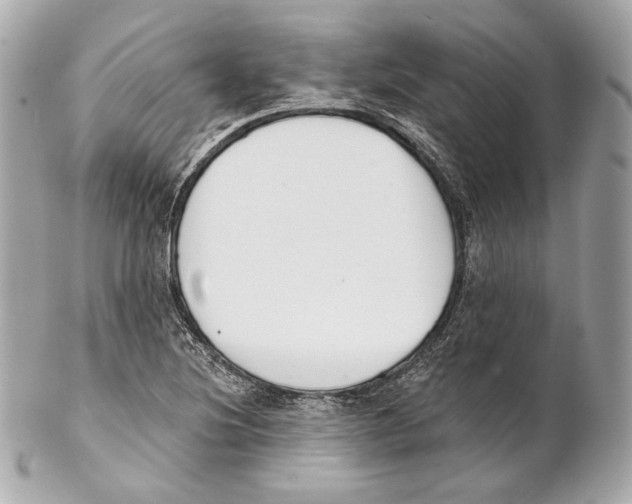 X0000102021220200808151308