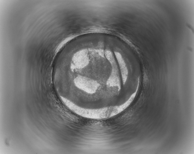X0000102021222200808151308