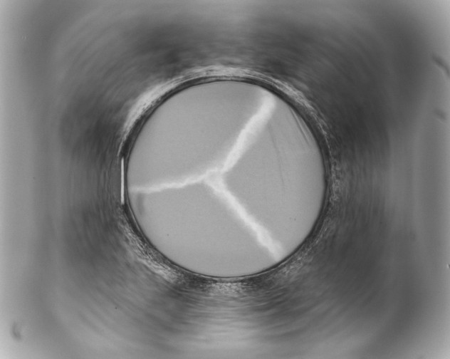 X0000102021223200808151308