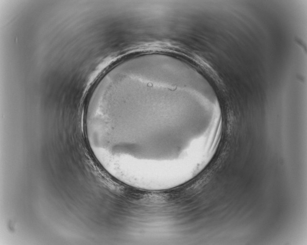 X0000102021224200808151308