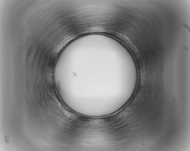 X0000102021225200808151308
