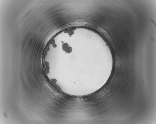 X0000102021226200808151308