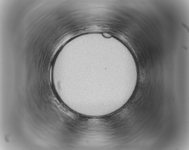 X0000102021227200808151308