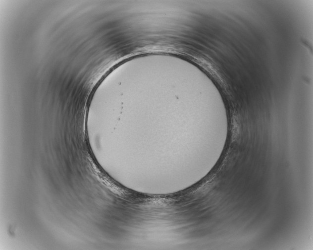 X0000102021228200808151308