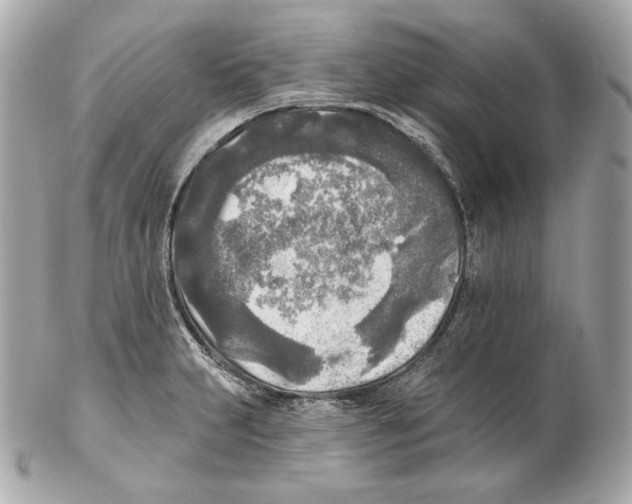 X0000102021231200808151308