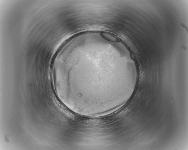 X0000102021232200808151308